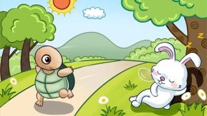 Thỏ và Rùa: chậm rãi -cách để đưa ra quyết định đúng