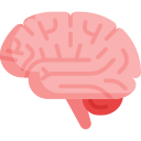 brain